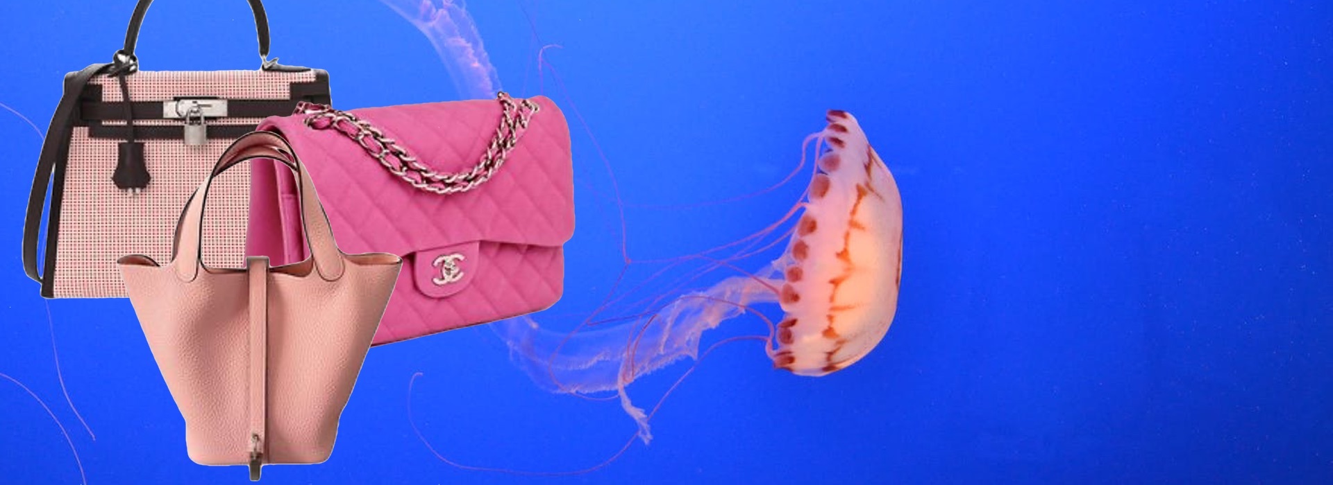 Accessoires de luxe signés occasions